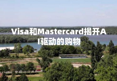 Visa和Mastercard揭开AI驱动的购物