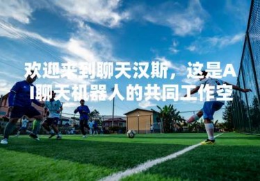 欢迎来到聊天汉斯，这是AI聊天机器人的共同工作空间