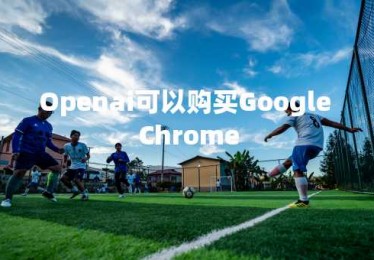 Openai可以购买Google Chrome