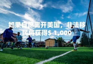 如果自愿离开美国，非法移民将获得$ 1,000