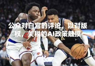 公众对白宫的评论，以对版权，关税的AI政策触摸