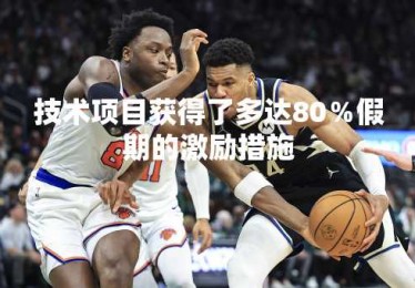 技术项目获得了多达80％假期的激励措施