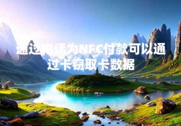通过电话为NFC付款可以通过卡窃取卡数据