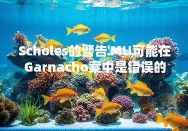 Scholes的警告'MU可能在Garnacho案中是错误的