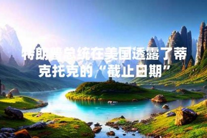 特朗普总统在美国透露了蒂克托克的“截止日期”