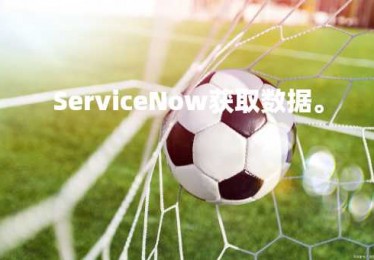 ServiceNow获取数据。