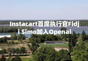 Instacart首席执行官Fidji Simo加入Openai
