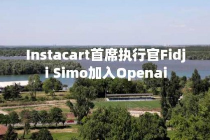 Instacart首席执行官Fidji Simo加入Openai
