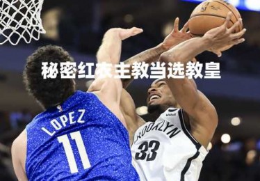 秘密红衣主教当选教皇