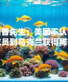 特朗普先生：美国不认为北约成员到乌克兰获得稀有土壤