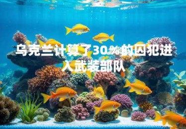 乌克兰计算了30％的囚犯进入武装部队