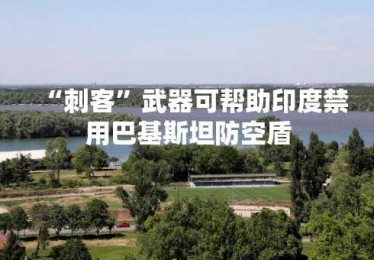 “刺客”武器可帮助印度禁用巴基斯坦防空盾