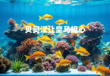 贝灵汉让皇马担心