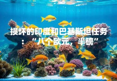 损坏的印度和巴基斯坦任务：“八个欧元，半磅”