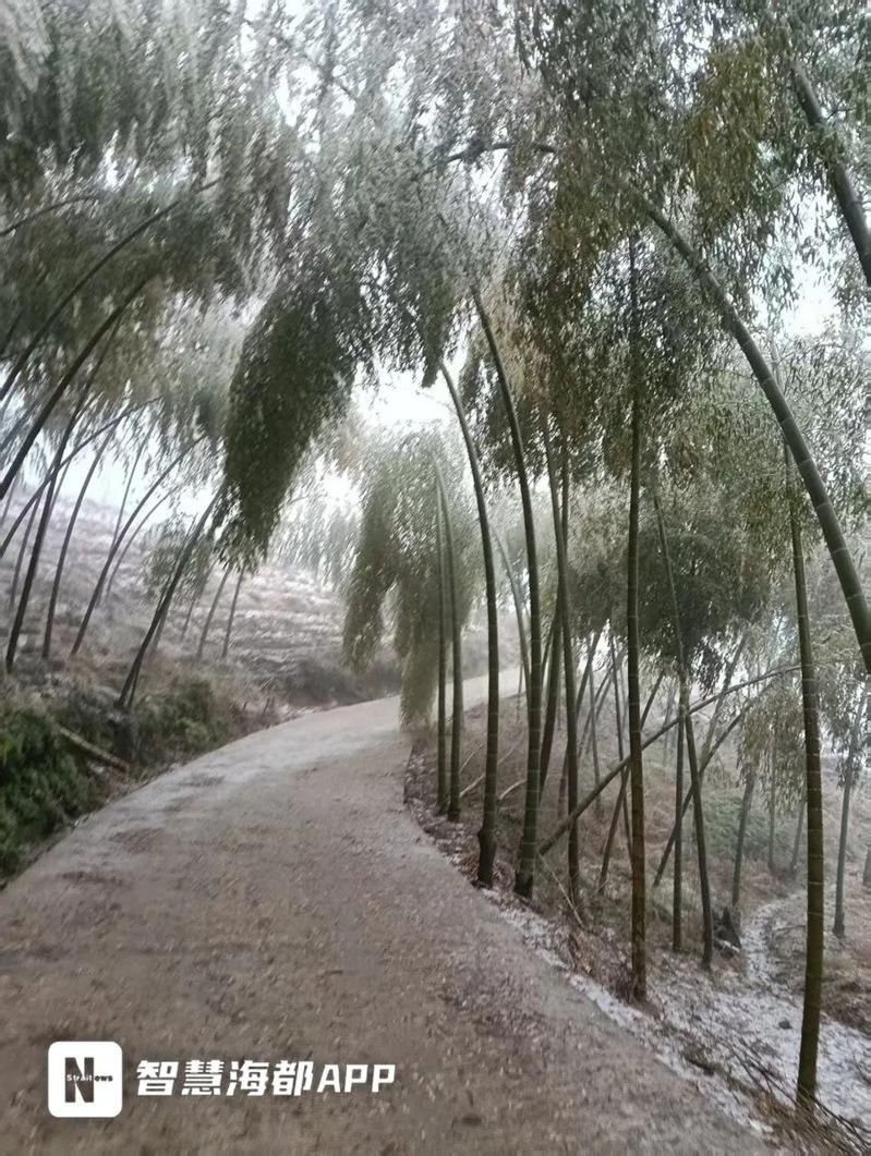 「昨天短袖，今天羽绒服」 福建、浙江下雪了