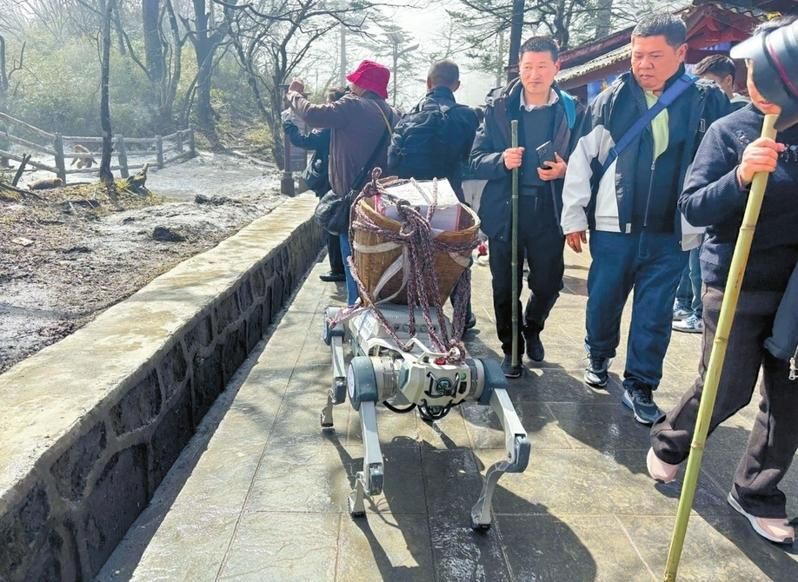 机器狗在峨眉山当背夫 猴哥被吓得「炸毛」 全网笑了