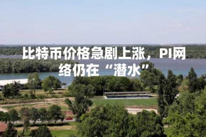 比特币价格急剧上涨，PI网络仍在“潜水”
