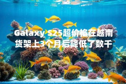Galaxy S25超价格在越南货架上3个月后降低了数千万