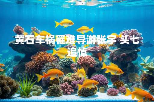 黄石车祸罹难导游张宇 头七追悼