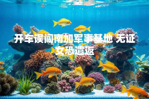 开车误闯南加军事基地 无证女恐遣返