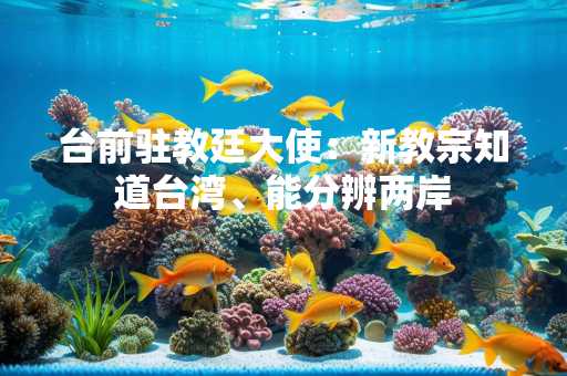 台前驻教廷大使：新教宗知道台湾、能分辨两岸