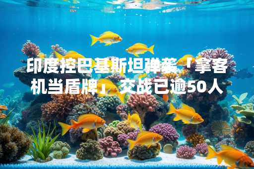 印度控巴基斯坦弹袭「拿客机当盾牌」 交战已逾50人亡