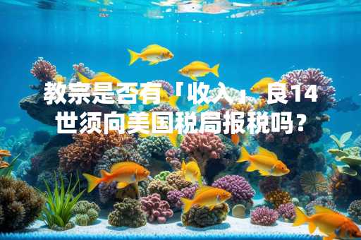 教宗是否有「收入」 良14世须向美国税局报税吗？