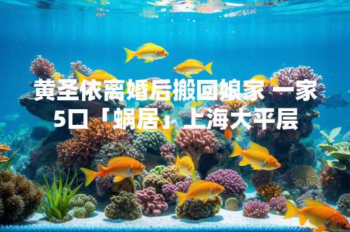 黄圣依离婚后搬回娘家 一家5口「蜗居」上海大平层
