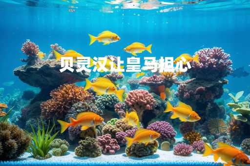 贝灵汉让皇马担心