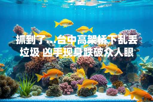 抓到了…台中高架桥下乱丢垃圾 凶手现身跌破众人眼镜