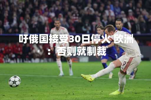 吁俄国接受30日停火 欧洲：否则就制裁