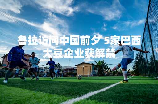鲁拉访问中国前夕 5家巴西大豆企业获解禁