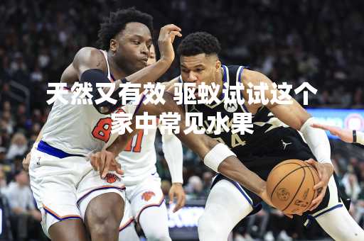 天然又有效 驱蚁试试这个家中常见水果
