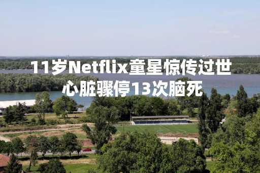 11岁Netflix童星惊传过世 心脏骤停13次脑死