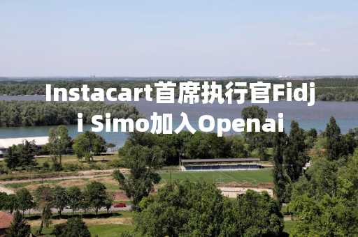 Instacart首席执行官Fidji Simo加入Openai