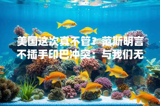 美国这次真不管？范斯明言不插手印巴冲突：与我们无关