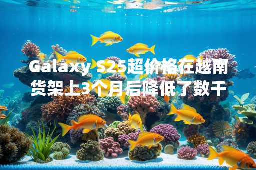 Galaxy S25超价格在越南货架上3个月后降低了数千万