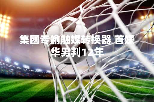 集团专偷触媒转换器 首嫌华男判12年