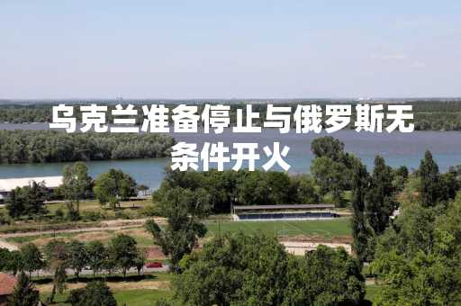 乌克兰准备停止与俄罗斯无条件开火