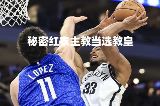秘密红衣主教当选教皇