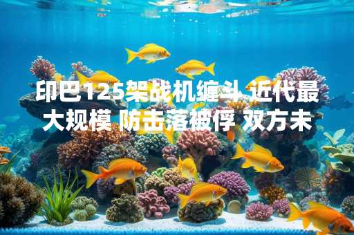 印巴125架战机缠斗 近代最大规模 防击落被俘 双方未进入对方领空