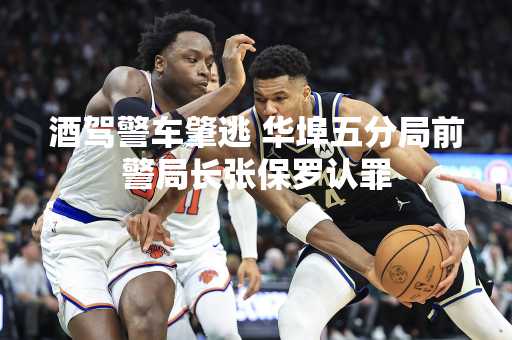 酒驾警车肇逃 华埠五分局前警局长张保罗认罪