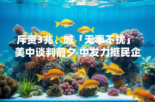 斥资3兆、喊「无事不扰」 美中谈判前夕 中发力挺民企
