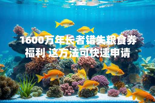 1600万年长者错失粮食券福利 这方法可快速申请