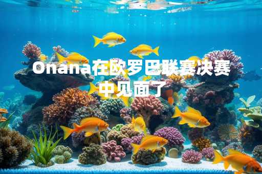 Onana在欧罗巴联赛决赛中见面了