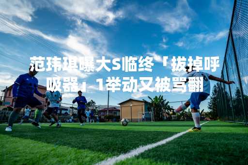 范玮琪曝大S临终「拔掉呼吸器」1举动又被骂翻