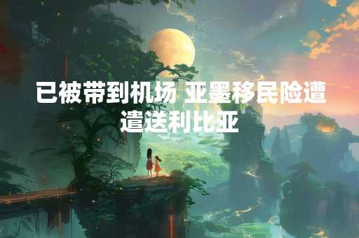 已被带到机场 亚墨移民险遭遣送利比亚