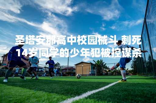 圣塔安那高中校园械斗 刺死14岁同学的少年犯被控谋杀