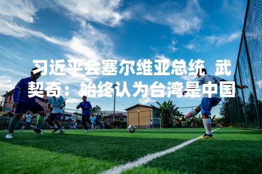 习近平会塞尔维亚总统  武契奇：始终认为台湾是中国一部分