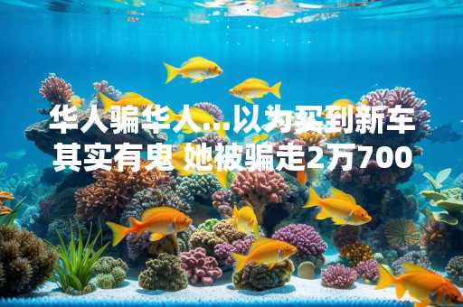 华人骗华人...以为买到新车其实有鬼 她被骗走2万7000元